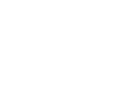 Zeal Nine